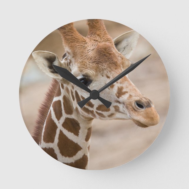giraffe round clock (Front)