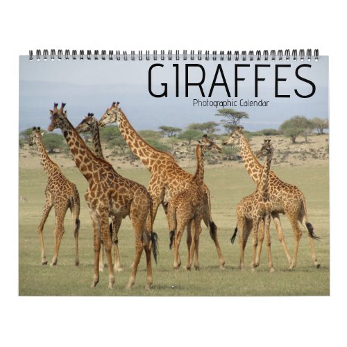 giraffe safari 2024 large calendar