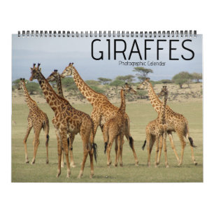 giraffe safari 2027 large calendar