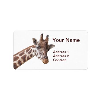 Giraffe Safari Animal Address Label by stdjura at Zazzle