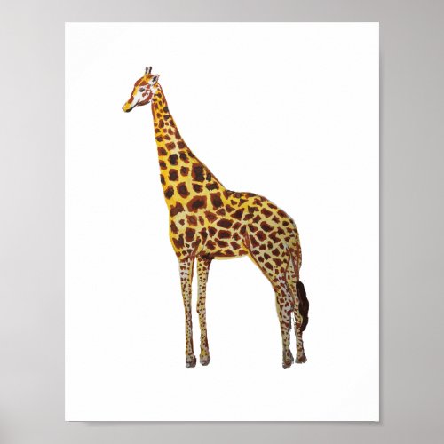 Giraffe Safari Animals Painting Poster