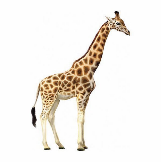 Giraffe Sculpture (Front)
