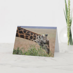 Giraffe, Serengeti Card