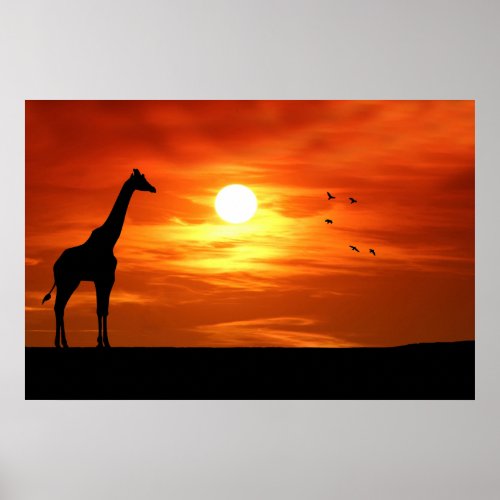 Giraffe Silhouette at Sunset Poster