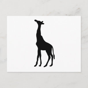 Giraffe Silhouette Postcard