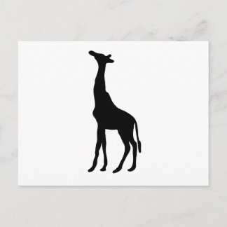 Giraffe Silhouette Postcard