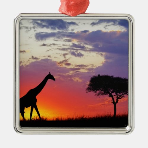 Giraffe silhouetted at sunrise Giraffa Metal Ornament