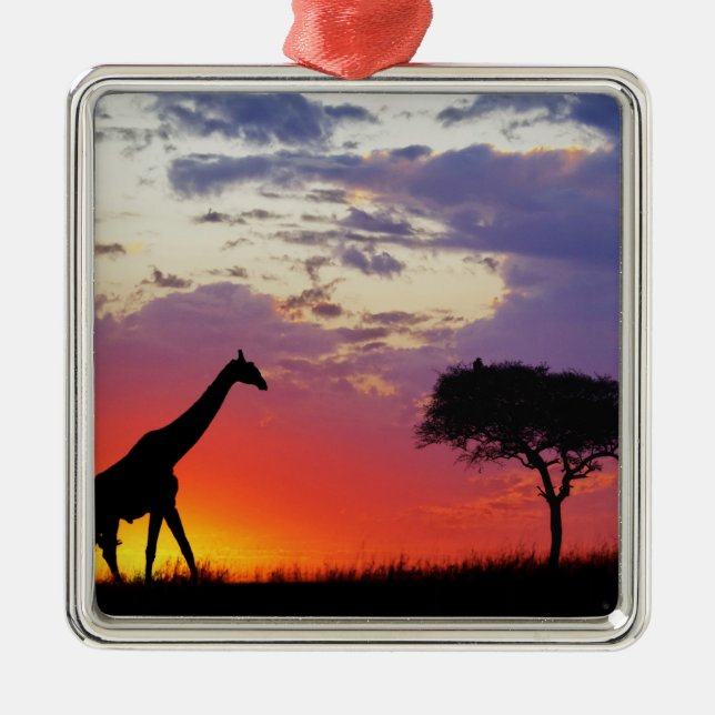 Giraffe silhouetted at sunrise, Giraffa Metal Ornament (Front)