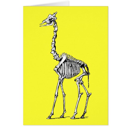 Giraffe Skeleton Cards (Front)