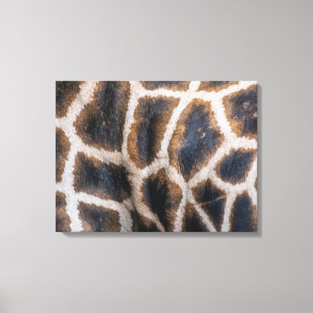 Giraffe skin pattern up close canvas print (Front)