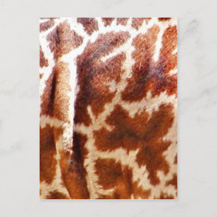 Giraffe Skin_ Postcard
