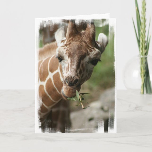 Giraffe Snack Greeting Card (Front)