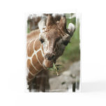 Giraffe Snack Greeting Card