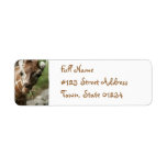 Giraffe Snack Return Address Label