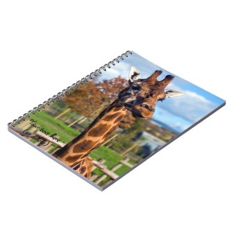 Giraffe Spiral Notebook 