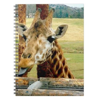 Giraffe Sticking It's Tongue Out Notebook