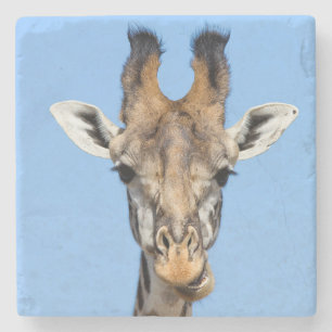 Giraffe Stone Coaster