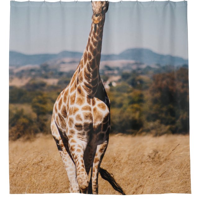 GIRAFFE SURROUNDED BY BROWN GRASS SHOWER CURTAIN (Front)