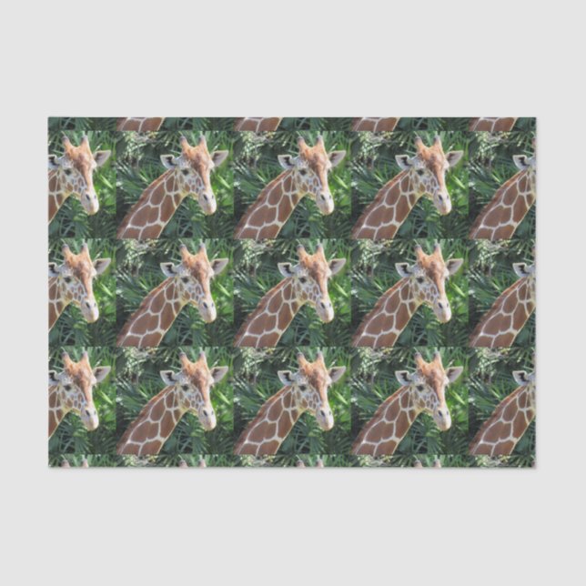 Giraffe Tissue Paper (Front)