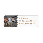 Giraffe Tongue Mailing Label