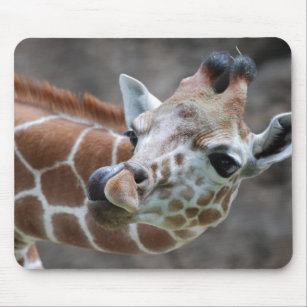 Giraffe Tongue Gifts On Zazzle