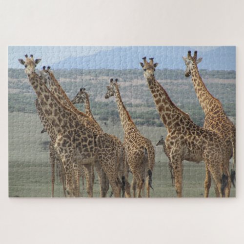 giraffe tower jigsaw puzzle