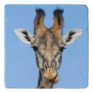 Giraffe Trivet