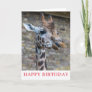 Giraffe up close birthday card