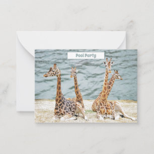 Giraffe Water Fun Photo - Four Giraffe's Party Note Card