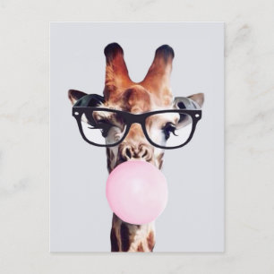 Giraffe Wearing Glasses Blowing Pink Bubble gum Postcard