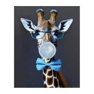 Giraffe wearing glasses, bow tie blowing blue gum acrylic print