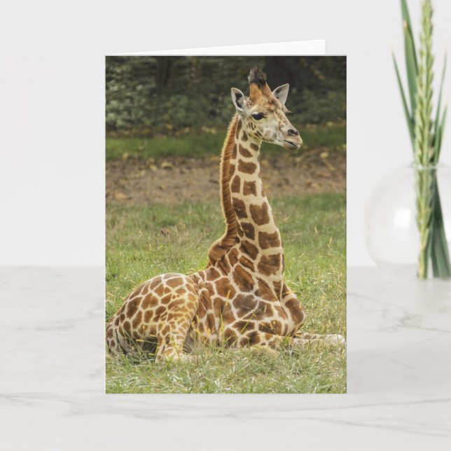 Giraffe Wildlife Card (Front)