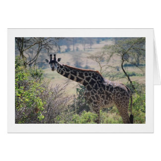 Giraffe with Extended Neck Cards