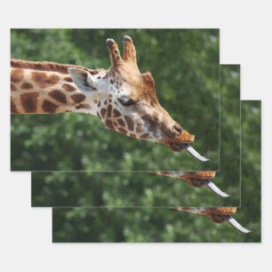 Giraffe with Tongue Out Wrapping Paper Sheets