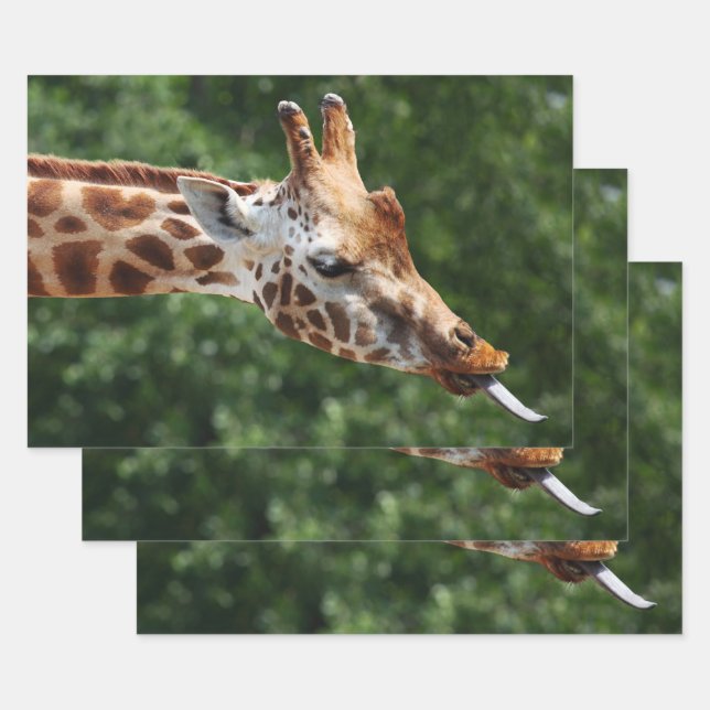 Giraffe with Tongue Out Wrapping Paper Sheets (Set)