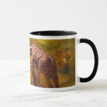 Giraffe World Art Mug