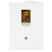 Giraffe World ArtCard (Back)