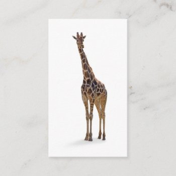 Giraffe Zoologist Business Card by BusinessCardsCards at Zazzle