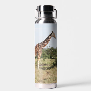 Giraffes 22 oz. insulated water bottle