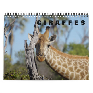 GIRAFFES  a 2019 Calendar