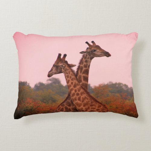 Giraffes Accent Pillow