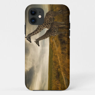 Giraffes and The Landscape iPhone 11 Case