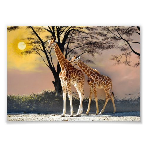 Giraffes and trees photo print