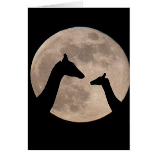 Giraffes At Full Moon Cards