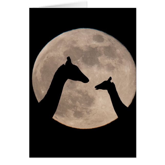 Giraffes At Full Moon Cards (Front)