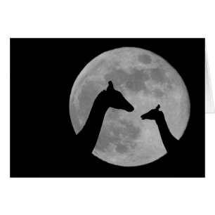 Giraffes At Fullmoon Night Cards