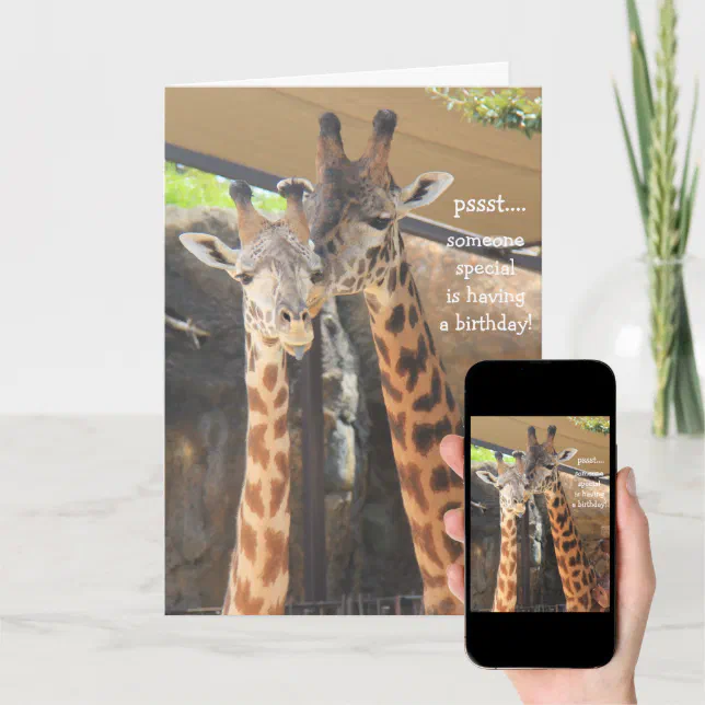 Giraffes Birthday Card For Someone Special Zazzle