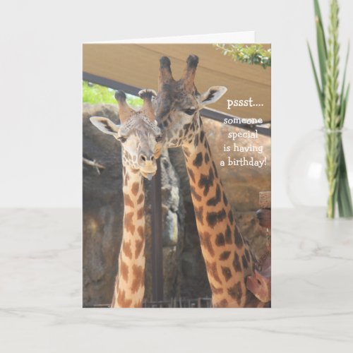 Giraffes Birthday Card for someone special
