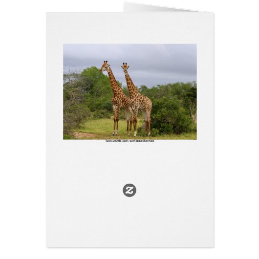 Giraffes Card (Back)