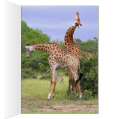 Giraffes Card (Inside (Right))